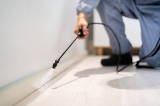Licensed Fumigation Services service in Marshall County County, KY - Nex Pest Control